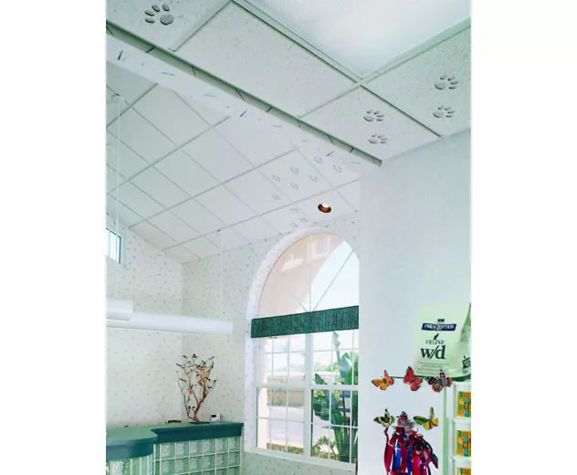 Renditions™ Animations Frost™ Acoustical Panels | CGC