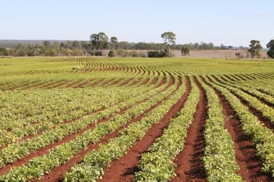 EcoGypsum Agricultural Synthetic Gypsum | USG