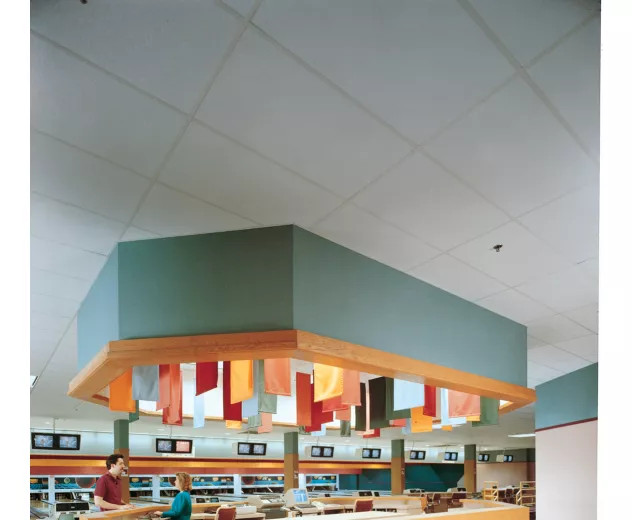 Tabaret™ Acoustical Panels | USG