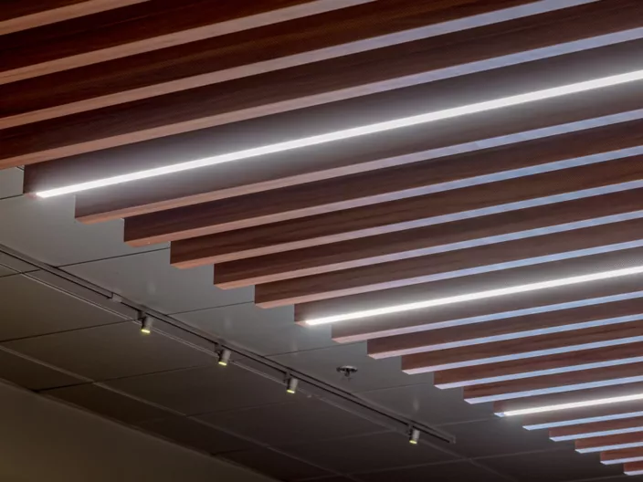 USG Ceilings Plus® Design Solutions Barz® + Brilliance™ Baffles Integrated Linear LED, Photo: Fungi Media © USG Interiors, LLC