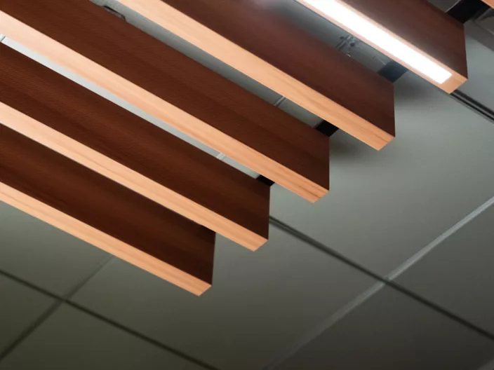 USG Ceilings Plus® Design Solutions Barz® + Brilliance™ Baffles Integrated Linear LED, Photo: Fungi Media © USG Interiors, LLC