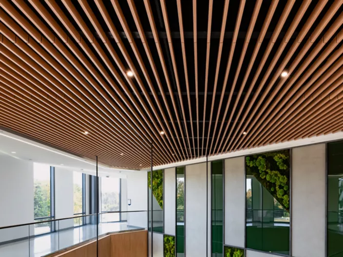 USG Ceilings Plus® Barz®  - Open Plenum Modular Acoustic Baffles, Wake Technical Community College, Architect: BSA LifeStructures, Photo: Fungi Media © USG Interiors, LLC