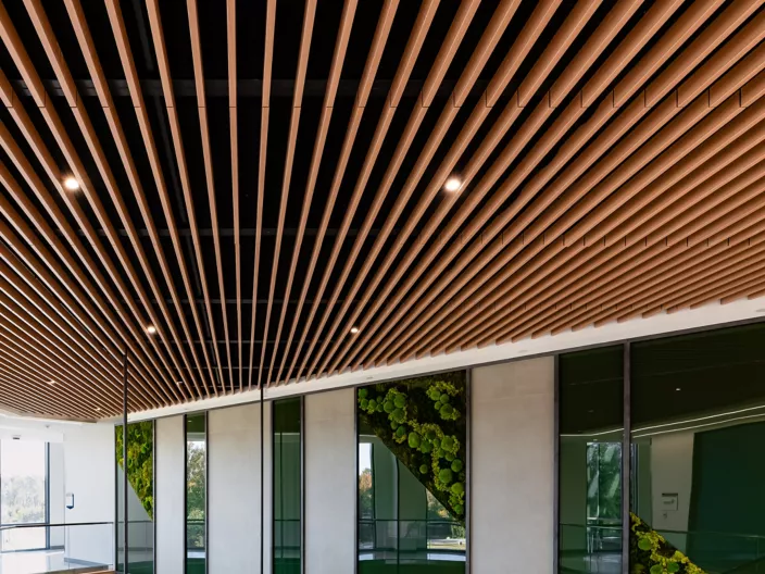 USG Ceilings Plus® Barz®  - Open Plenum Modular Acoustic Baffles, Wake Technical Community College, Architect: BSA LifeStructures, Photo: Fungi Media © USG Interiors, LLC