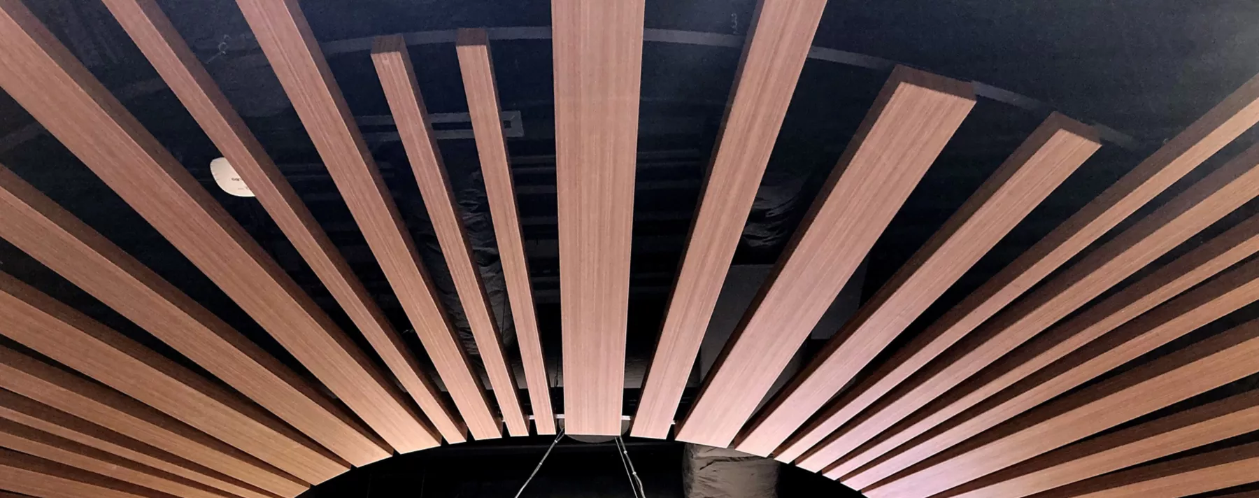 USG Ceilings Plus® Barz® Open Plenum Modular Acoustical System, Architect: Southern Adventist University, Photo: © USG Interiors LLC