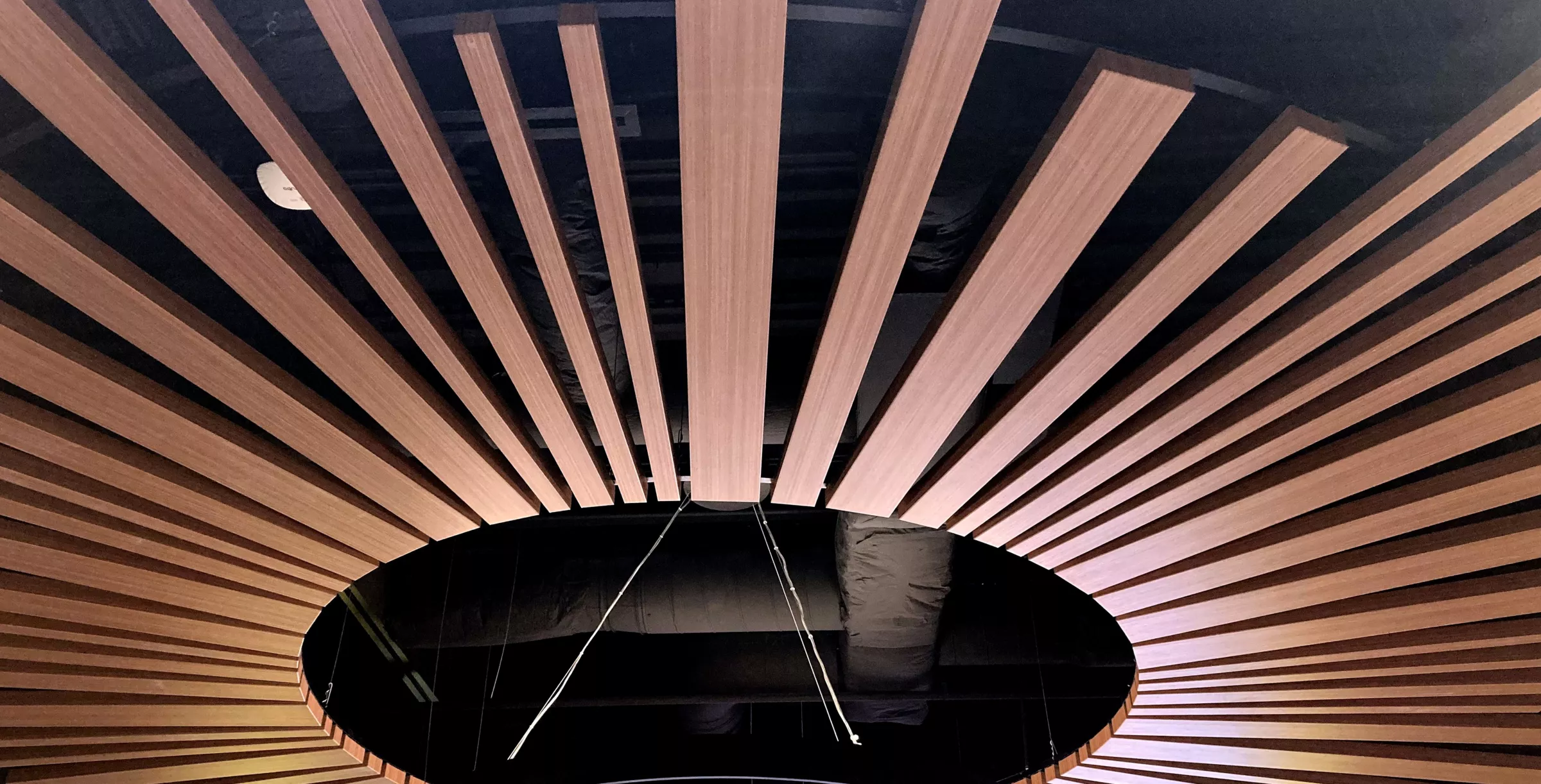 USG Ceilings Plus® Barz® Open Plenum Modular Acoustical System, Architect: Southern Adventist University, Photo: © USG Interiors LLC