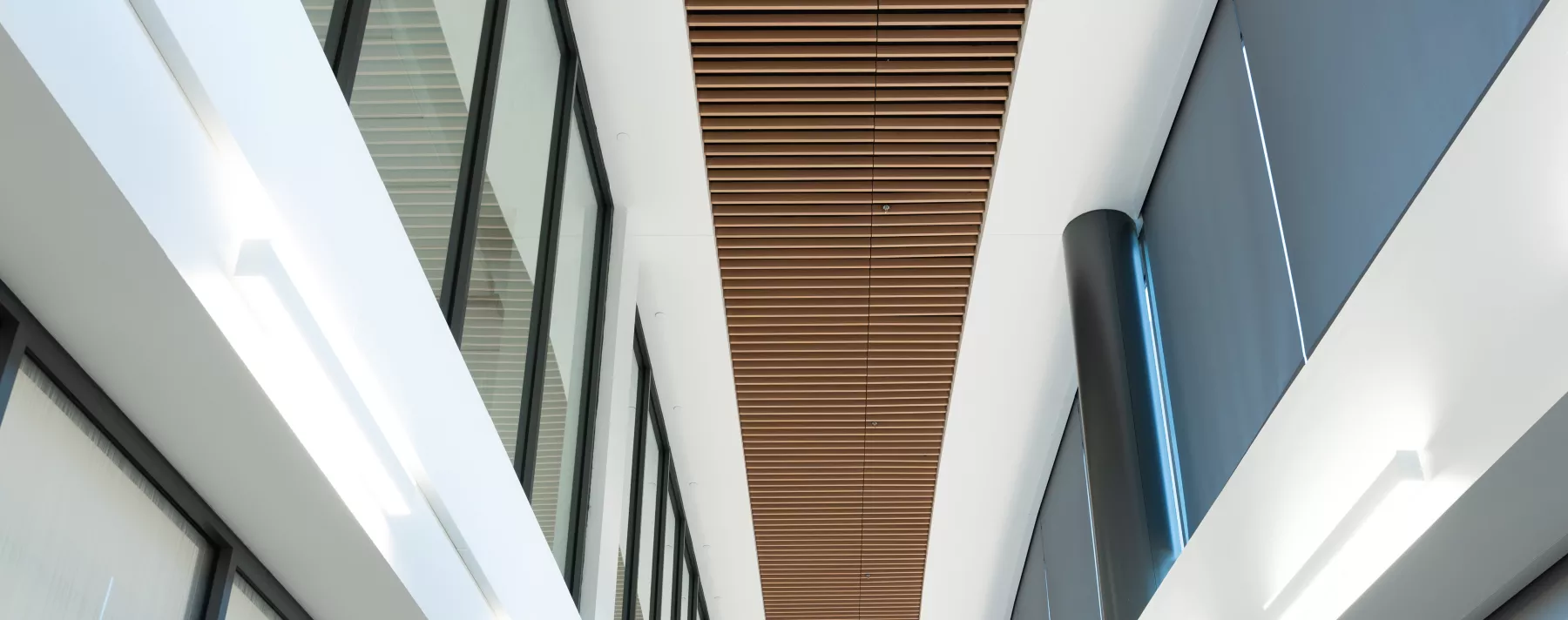 USG Ceilings Plus® Barz®  - Open Plenum Modular Acoustic Baffles, Finish: Sarante® Oak Line, Architect: BSA LifeStructures, Photo: Fungi Media © USG Interiors, LLC