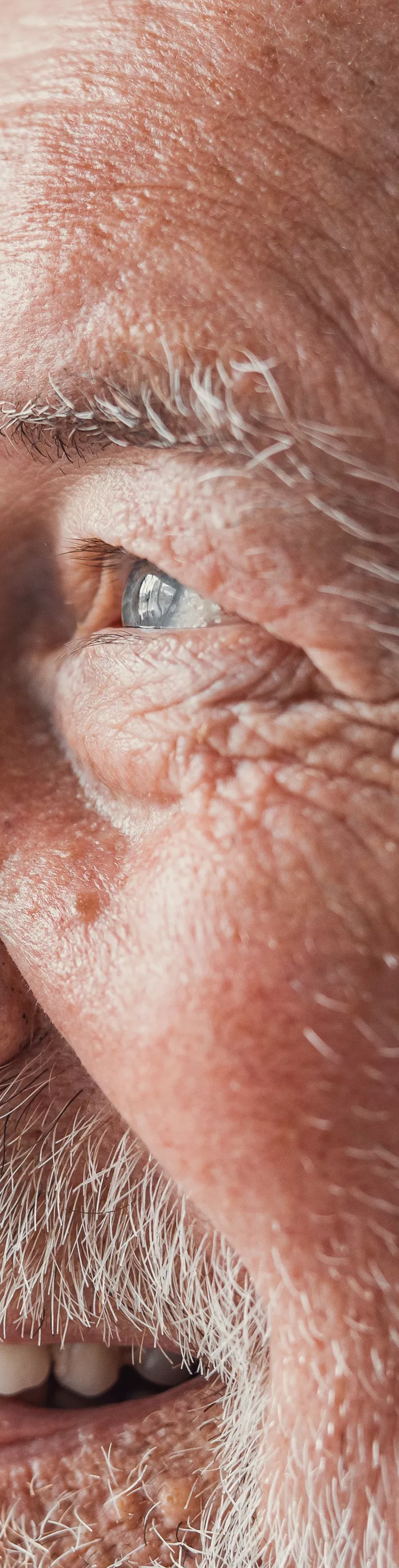 Handsome older man smiling staring at camera feels happy, close up face view. Senior advertise professional dental clinic, teeth repair and check up services, medical insurance cover for elder concept