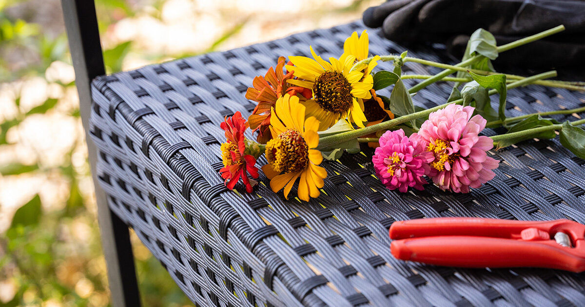 A small bouquet of vibrant flowers rests on a dark woven outdoor chair. Red garden shears and black gloves are placed nearby, suggesting recent gardening activity. The scene is set outdoors with natural sunlight highlighting the vivid petals in shades of yellow, orange, pink, and red. The overall mood is bright and relaxed, evoking a sense of summer or springtime leisure.