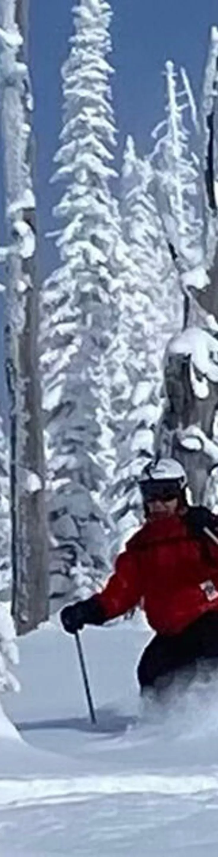 A person wearing a red jacket skis through a dense, snow-covered forest. Tall trees blanketed in fresh snow create a winter wonderland setting. The skier is captured mid-action, carving through deep powder under a clear blue sky. The scene conveys adventure and the tranquility of a pristine winter landscape.