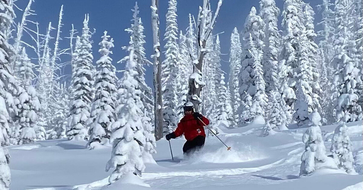 A person wearing a red jacket skis through a dense, snow-covered forest. Tall trees blanketed in fresh snow create a winter wonderland setting. The skier is captured mid-action, carving through deep powder under a clear blue sky. The scene conveys adventure and the tranquility of a pristine winter landscape.