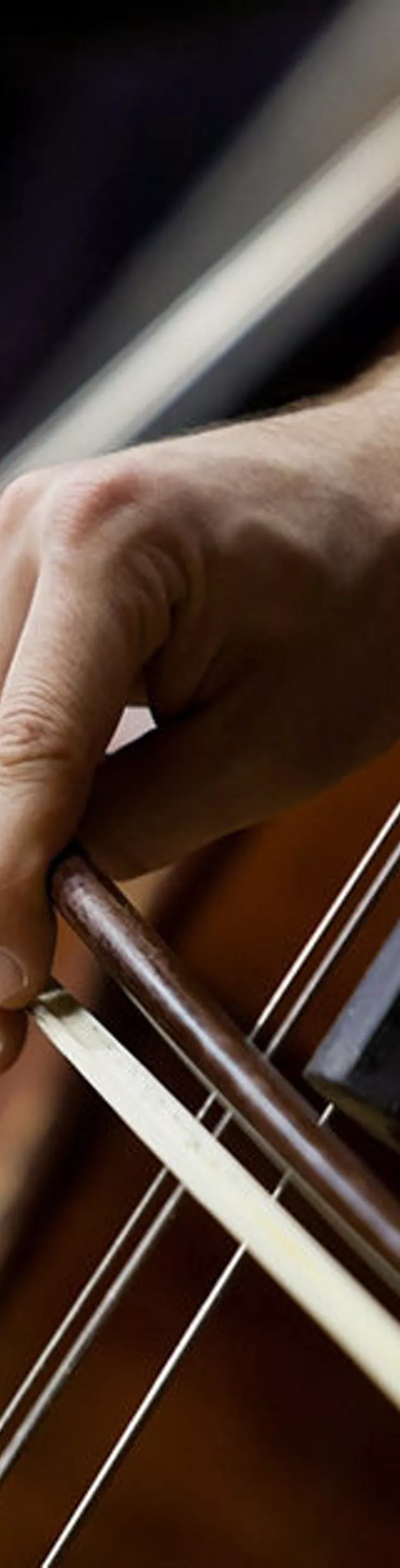 The image shows a close-up view of musicians' hands playing double bass instruments with bows. The focus is on the hands and strings, highlighting the technique and movement involved in playing. The background is dark, drawing attention to the instruments and the musicians' actions. The overall mood is intense and concentrated, with warm wood tones dominating the palette.