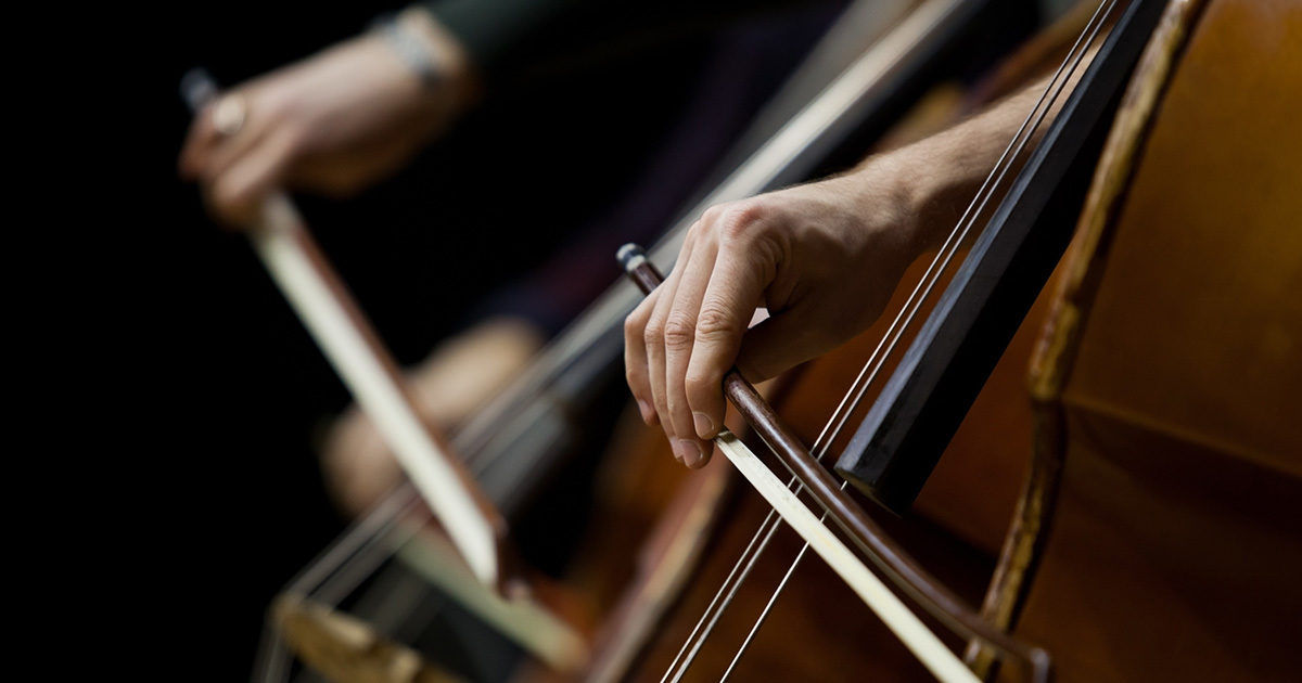 The image shows a close-up view of musicians' hands playing double bass instruments with bows. The focus is on the hands and strings, highlighting the technique and movement involved in playing. The background is dark, drawing attention to the instruments and the musicians' actions. The overall mood is intense and concentrated, with warm wood tones dominating the palette.