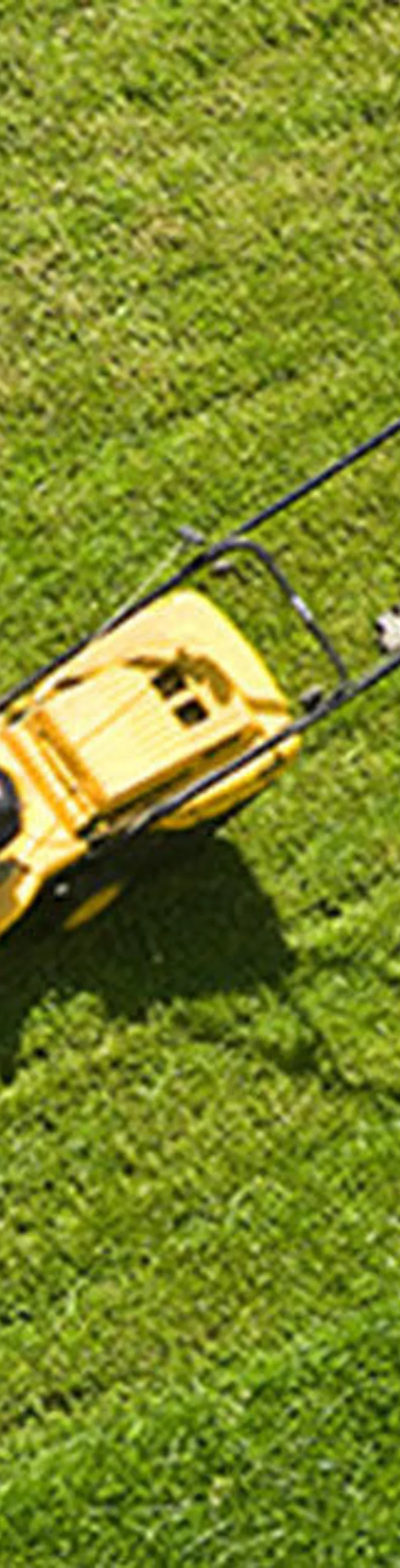 A person is pushing a yellow lawnmower across a well-maintained green lawn, viewed from above. The scene is set outdoors, surrounded by trees and shrubs, with sunlight casting clear shadows. The individual appears to be engaged in yard work or garden maintenance. The overall mood is bright and productive, emphasizing outdoor activity and care for the environment.
