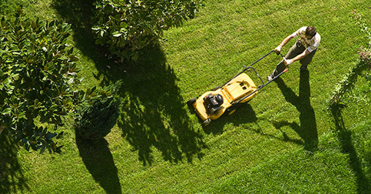 A person is pushing a yellow lawnmower across a well-maintained green lawn, viewed from above. The scene is set outdoors, surrounded by trees and shrubs, with sunlight casting clear shadows. The individual appears to be engaged in yard work or garden maintenance. The overall mood is bright and productive, emphasizing outdoor activity and care for the environment.