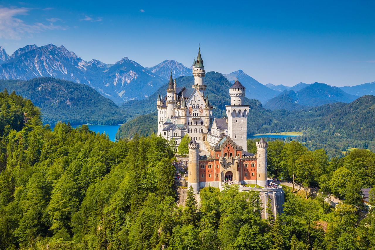 Alps Forest Neuschwanstein Schwangau