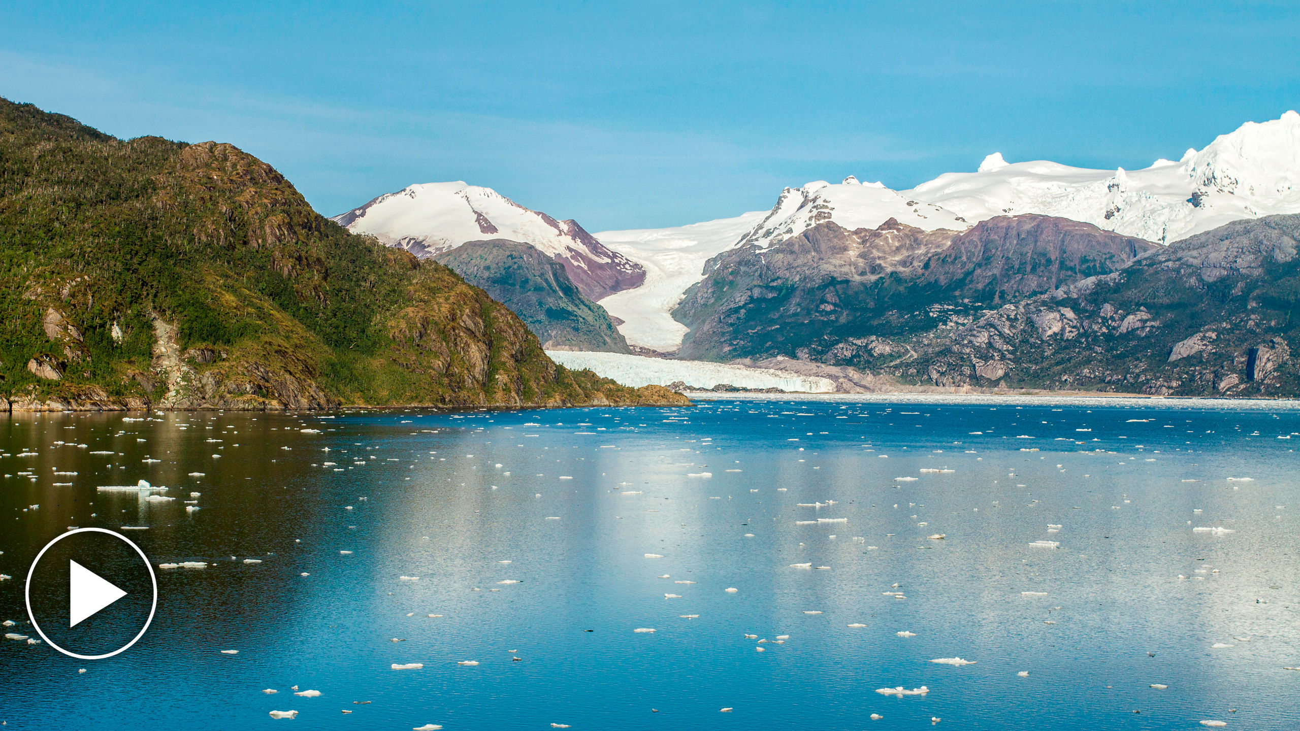 Amalia Glacier Chilean Fjords Patagonia
