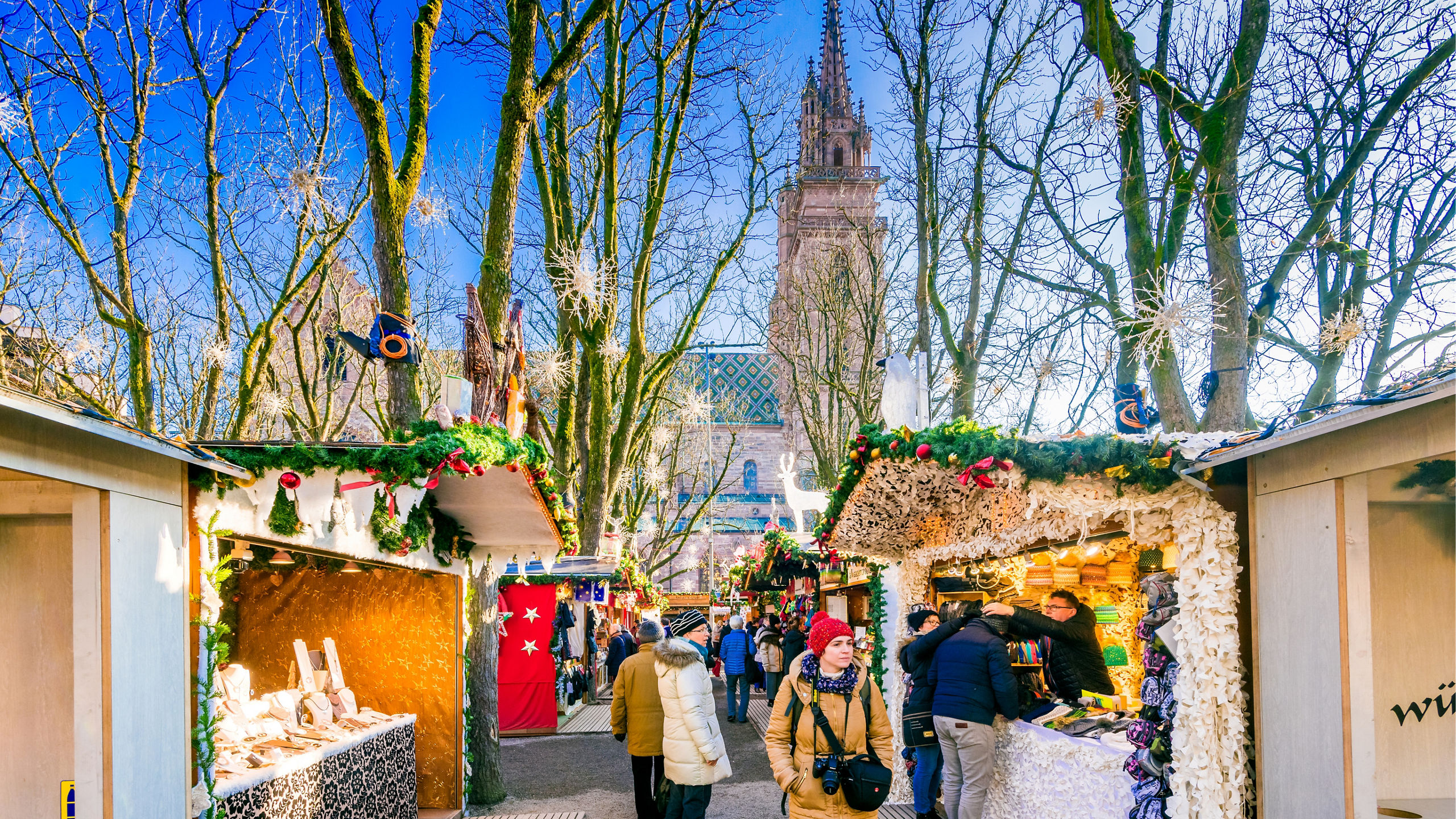 Bare Trees Christmas Market Stalls Basel