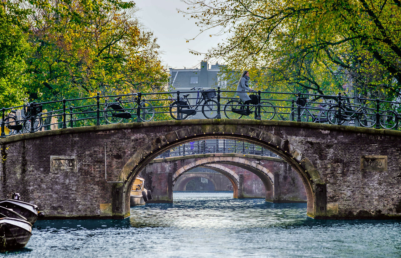 Bicyclist Bridges Trees Canal Amsterdam