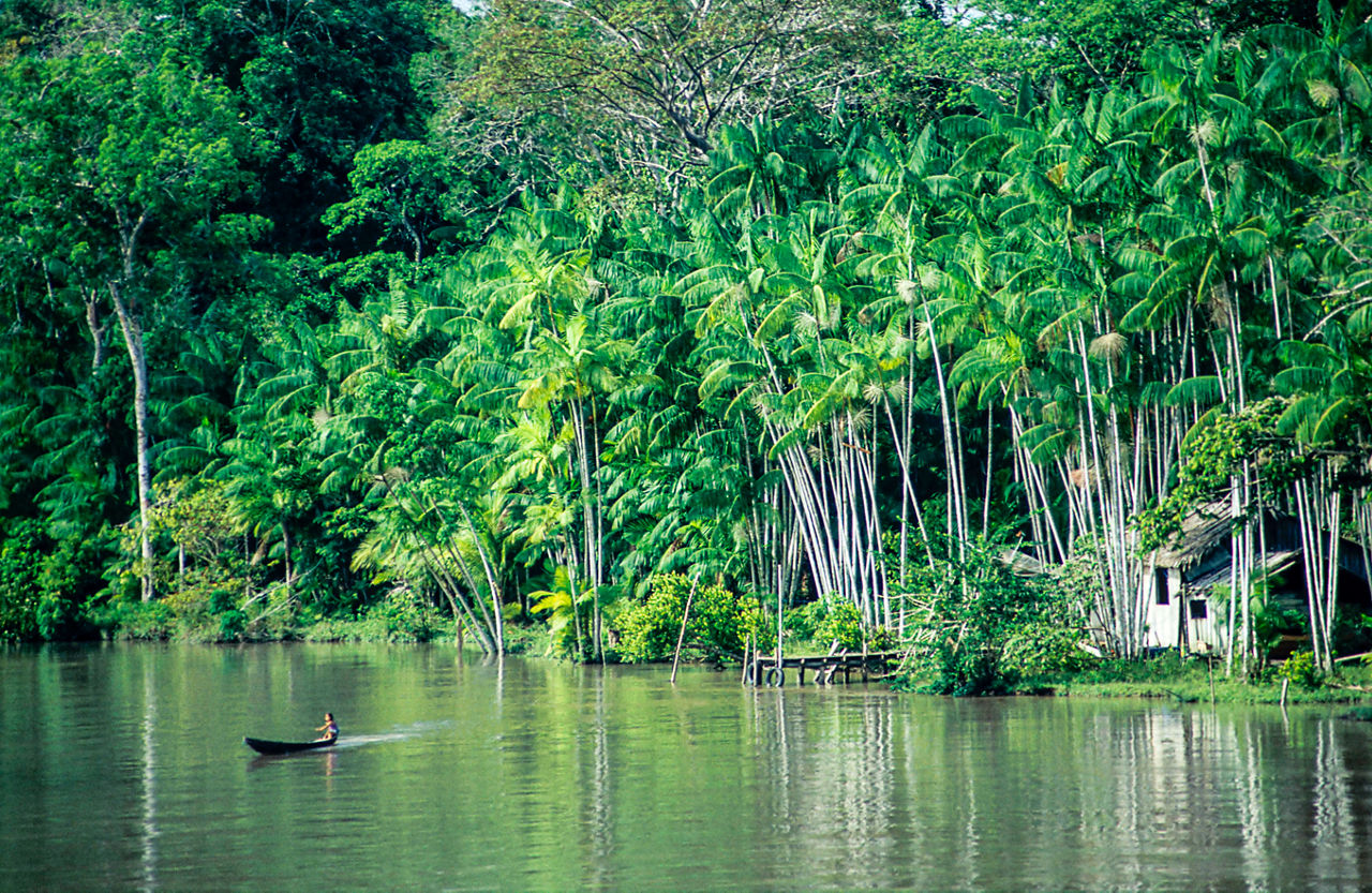 Canoe Man Amazon River Brazil