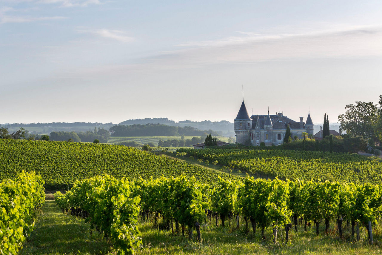 Chateau Vineyards Landscape Bourg