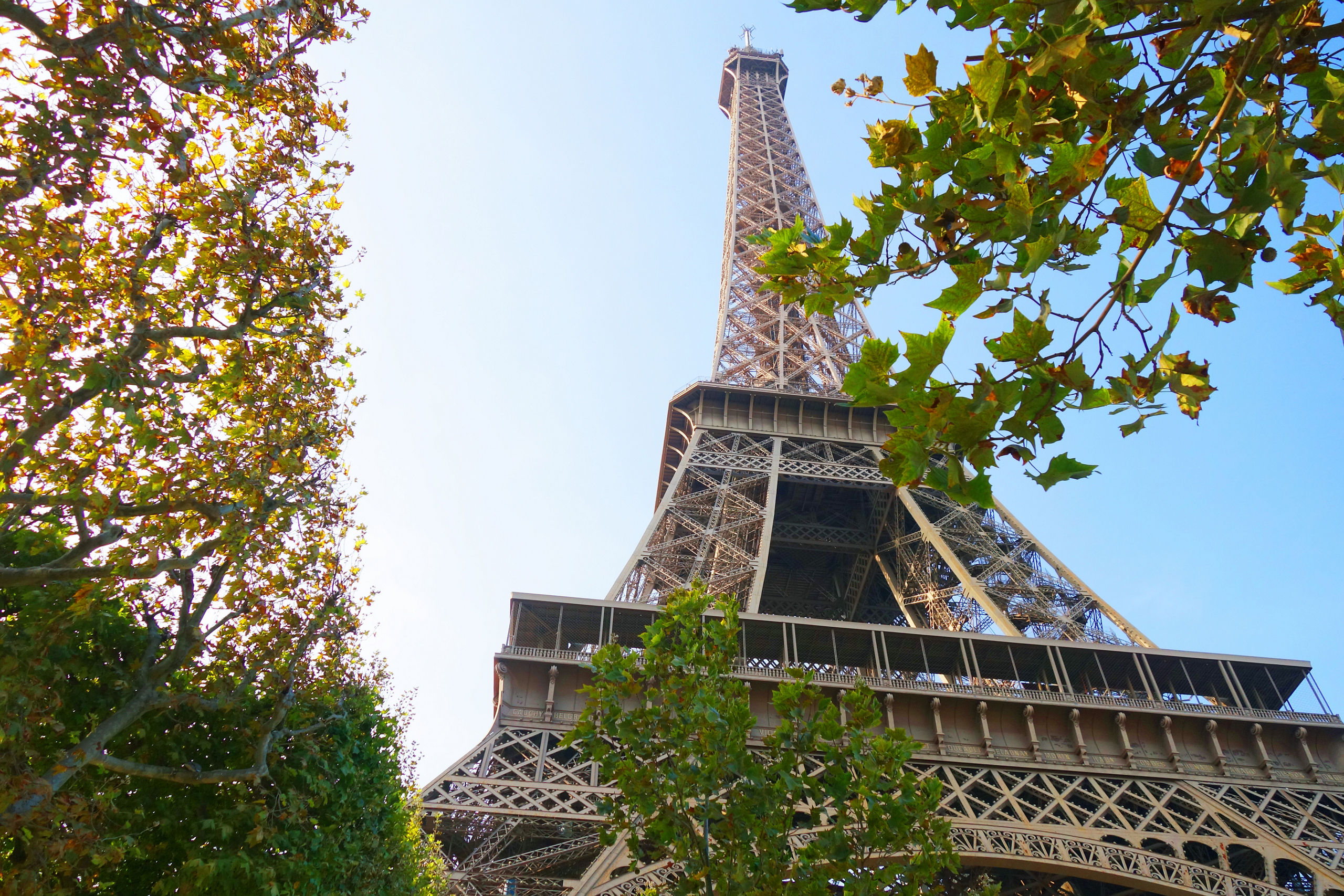 Eiffel Tower Blue Sky Trees Paris