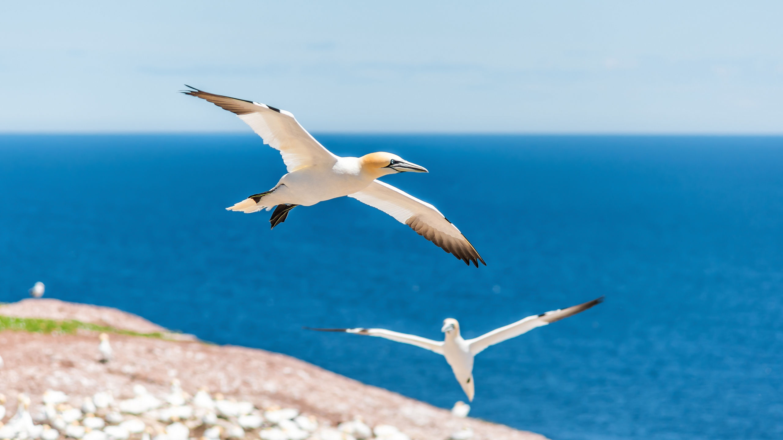 Eastern Seaboard Explorer