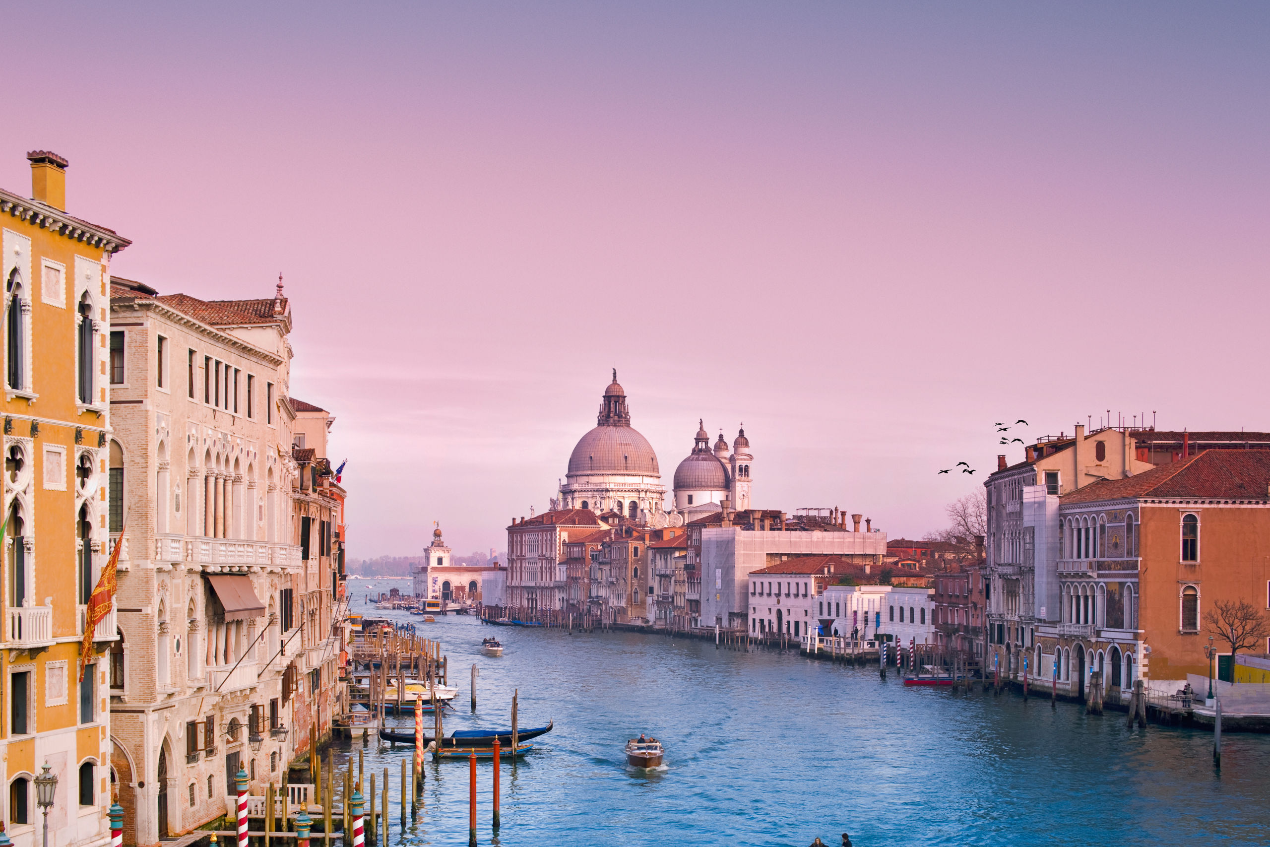 Gondolas Grand Canal Venice Italy