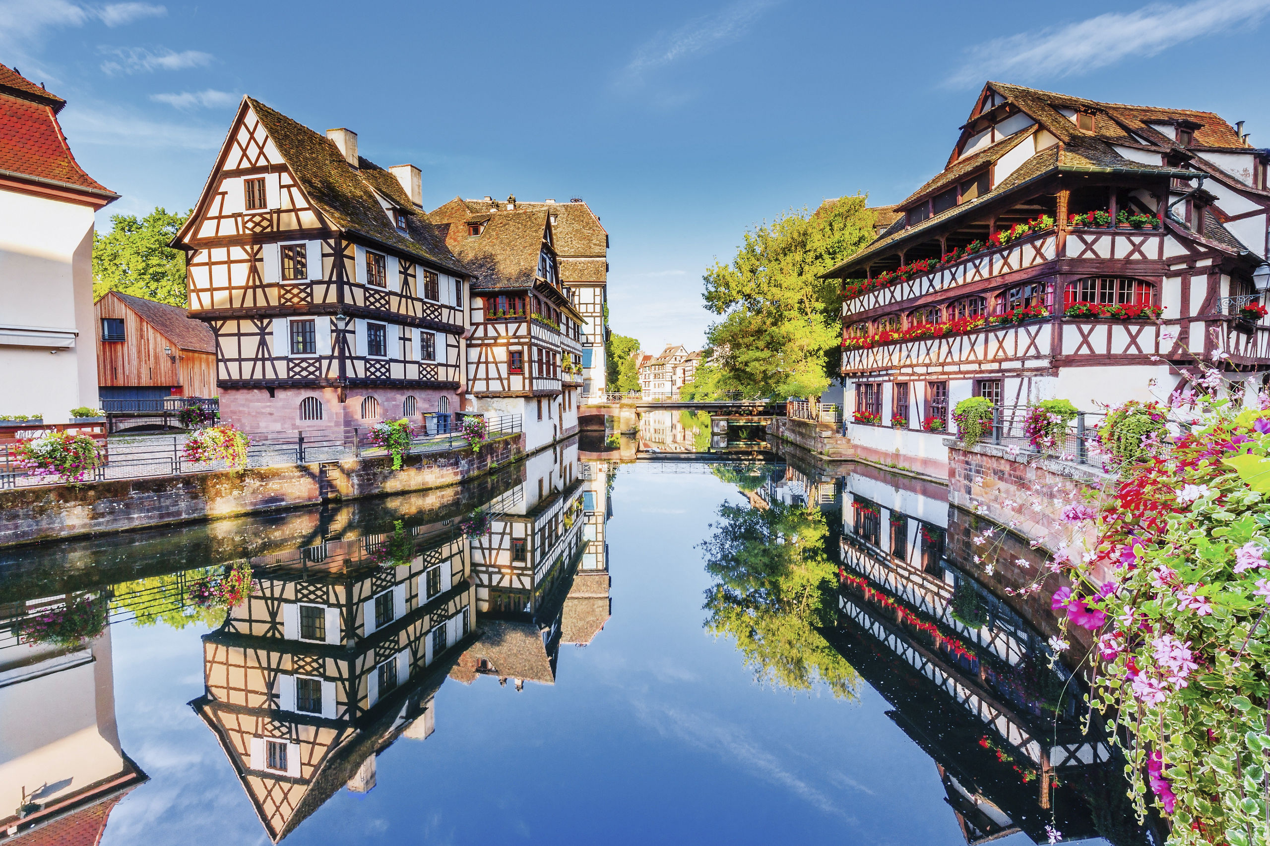 Half Timbered Houses Canal Strasbourg