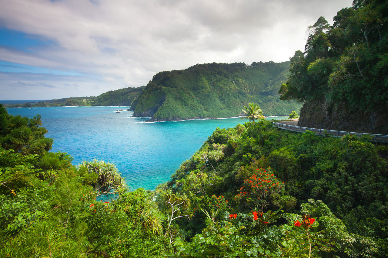 Hana Road Coastline Forest Maui