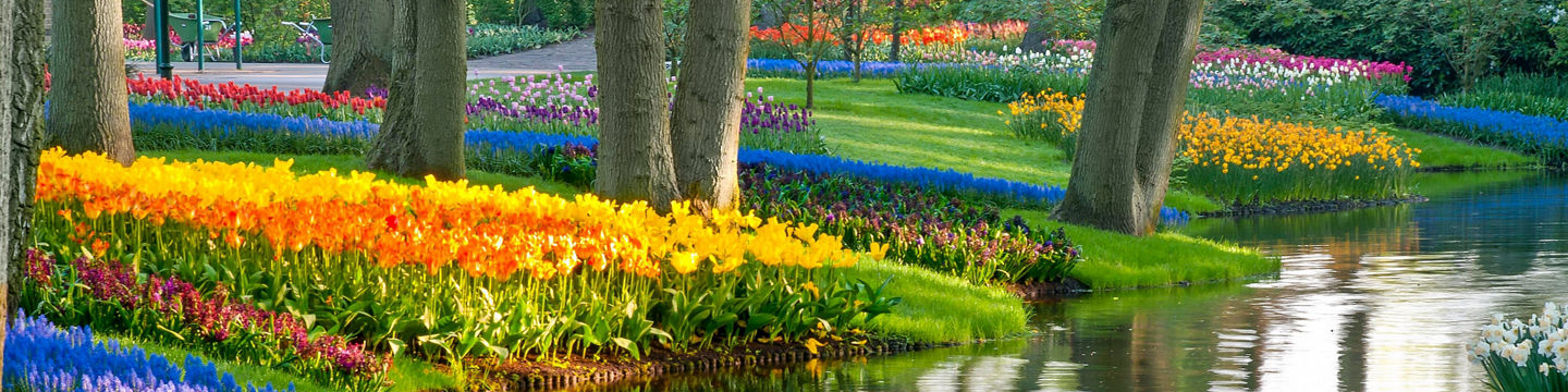Vibrant Spring Garden with Flower Beds