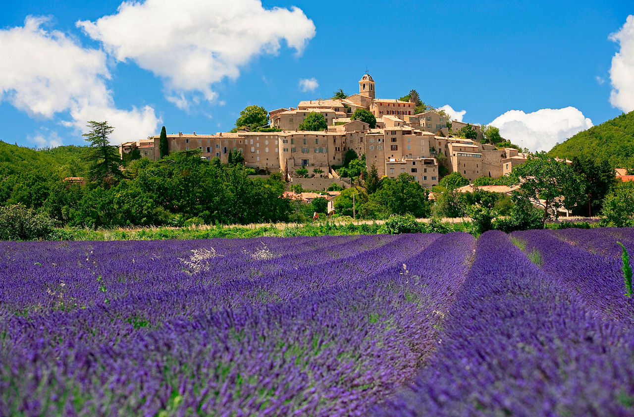 Lavender Field Provence Village Banon