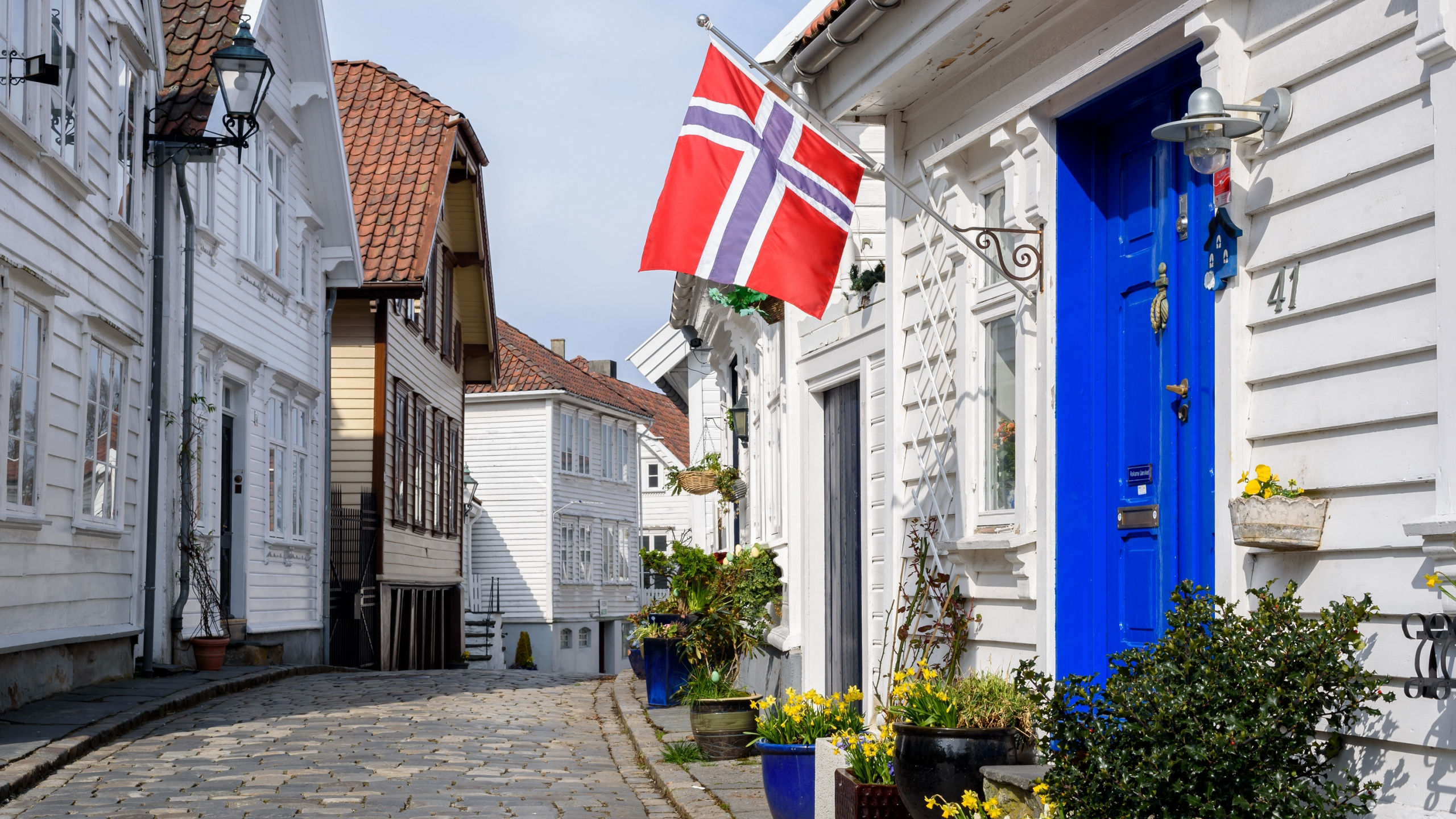 Viking Shores & Fjords