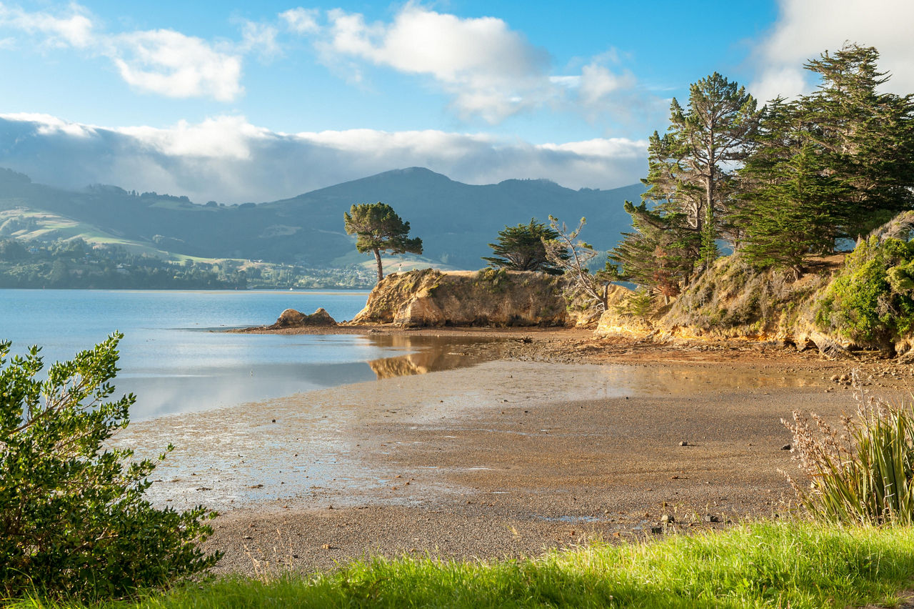 Otago Peninsula Dunedin