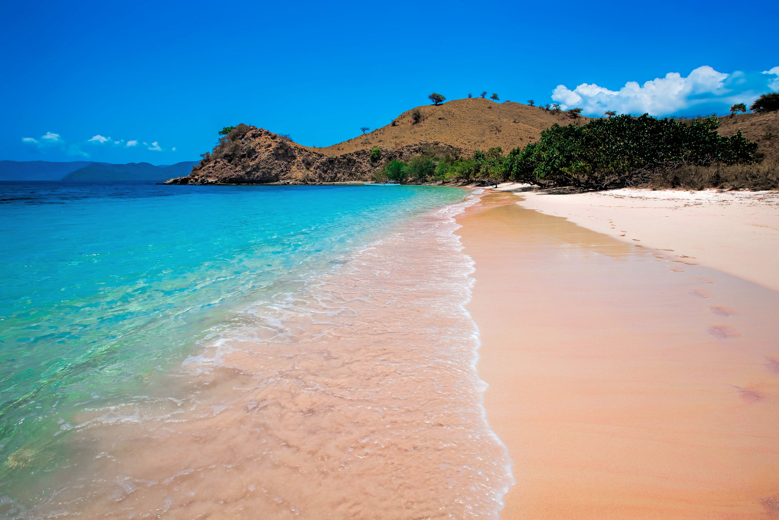 Pink Beach Coastline Island Komodo