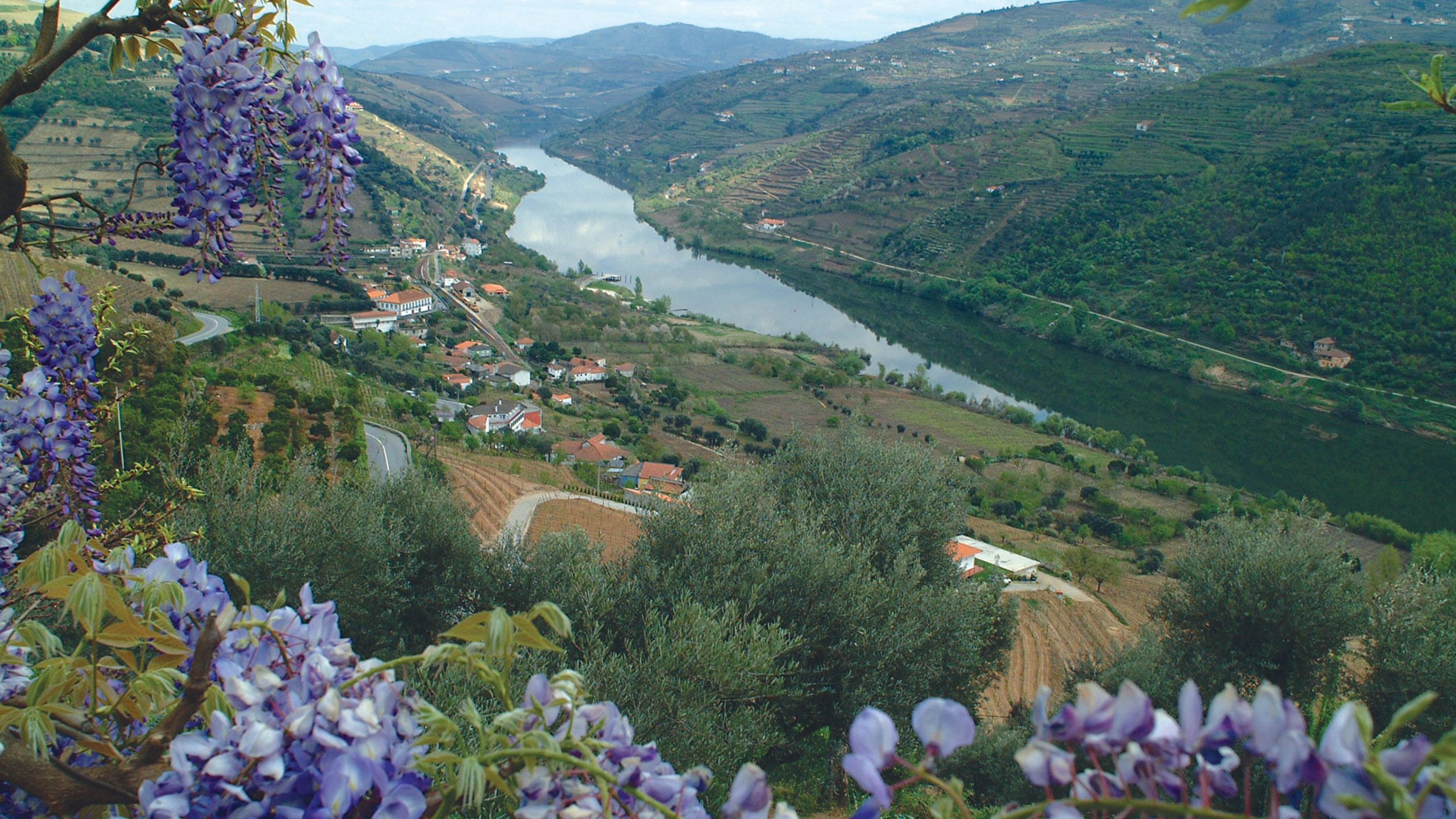 Portugal's River of Gold