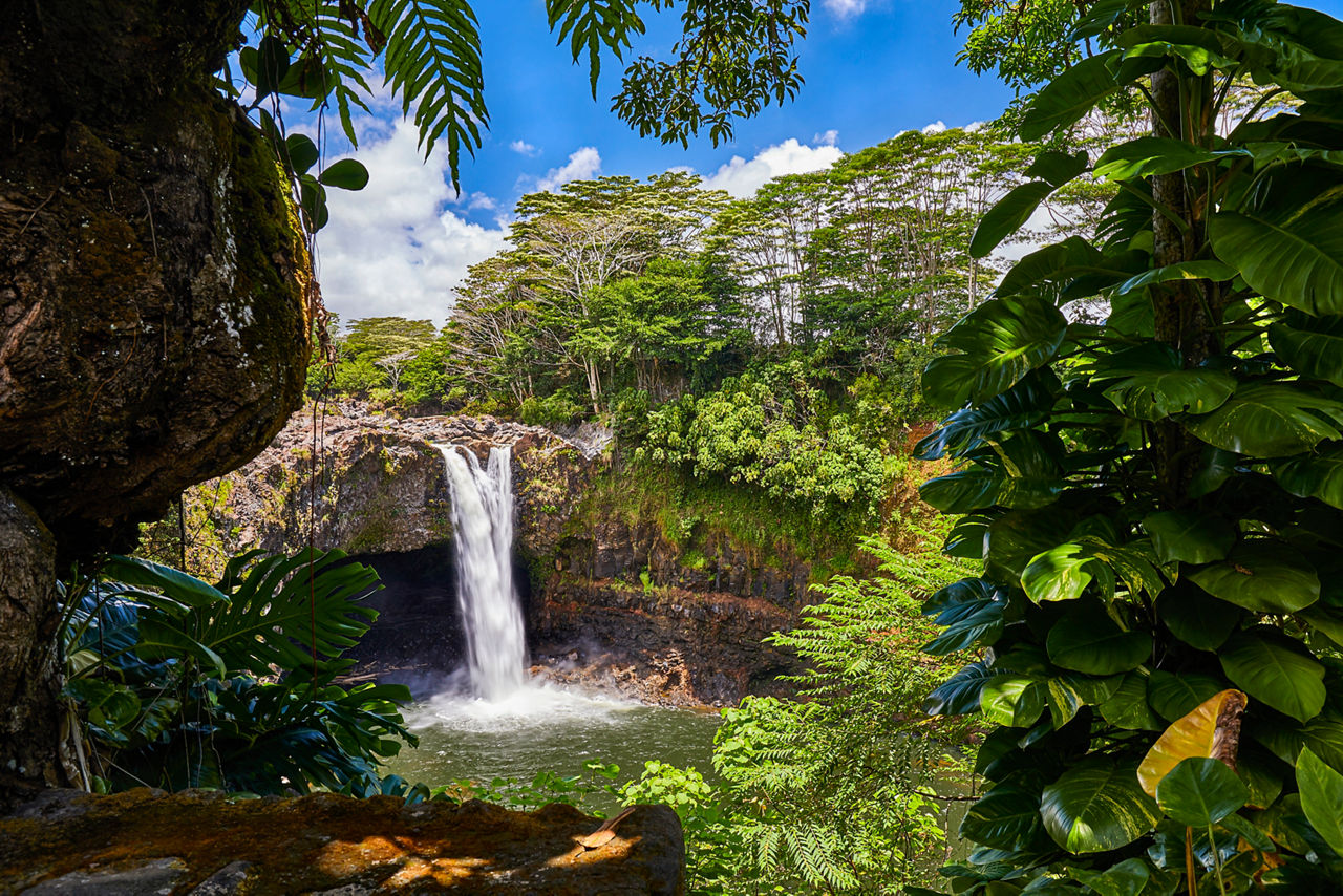 Rainbow Falls Trees Hilo