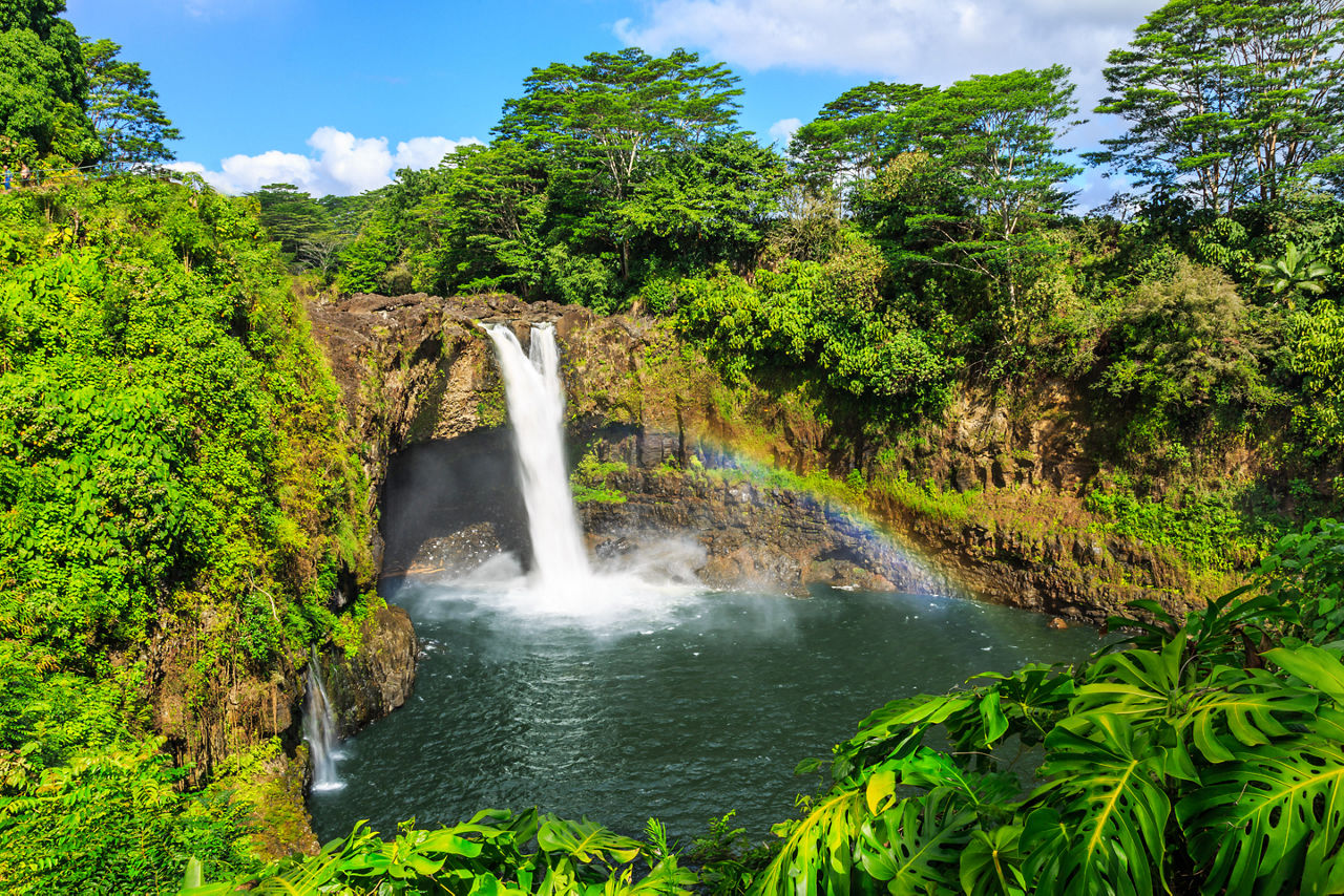 Rainbow Falls Trees Hilo Hawaii