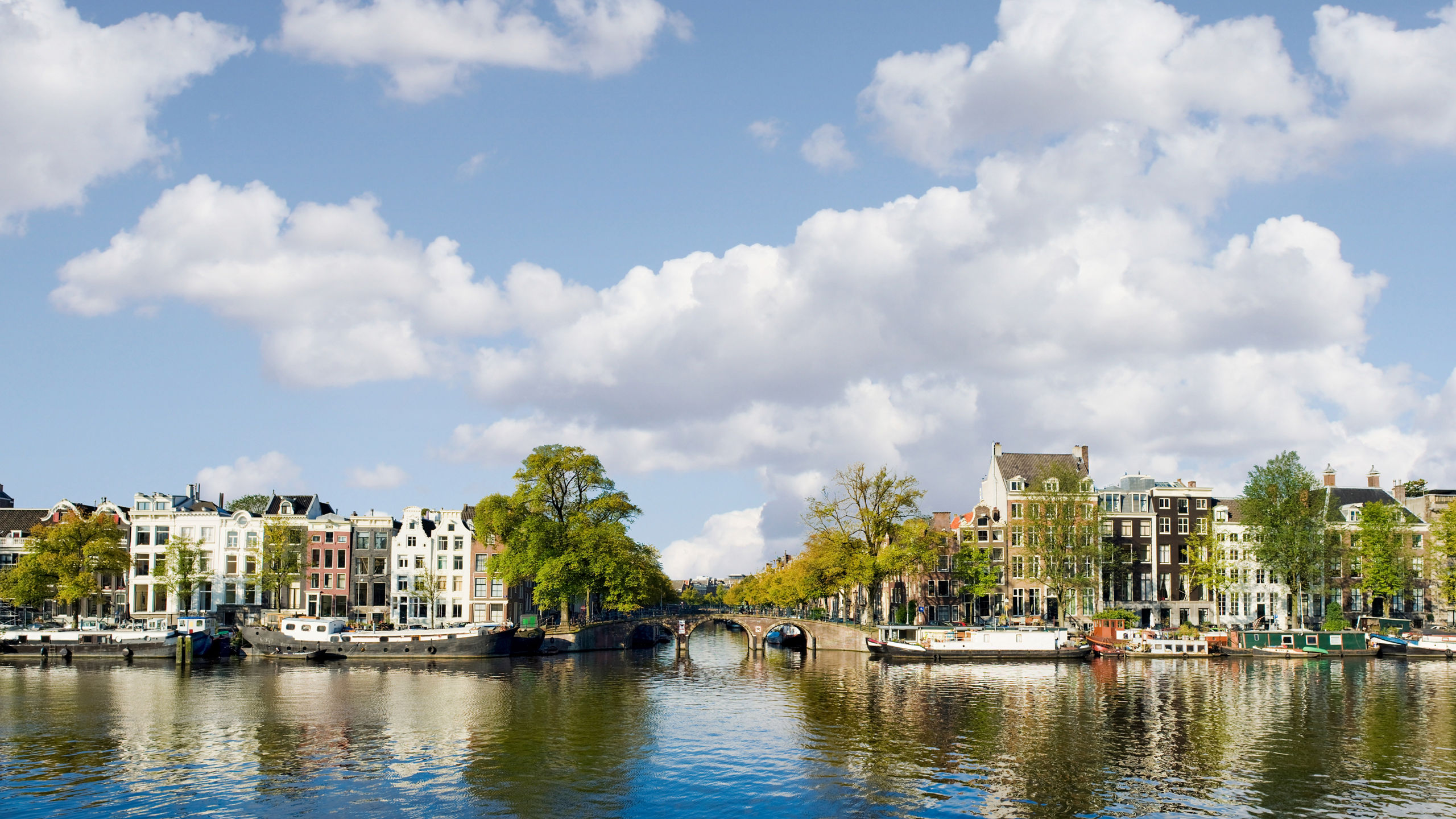 In Search of the Northern Lights