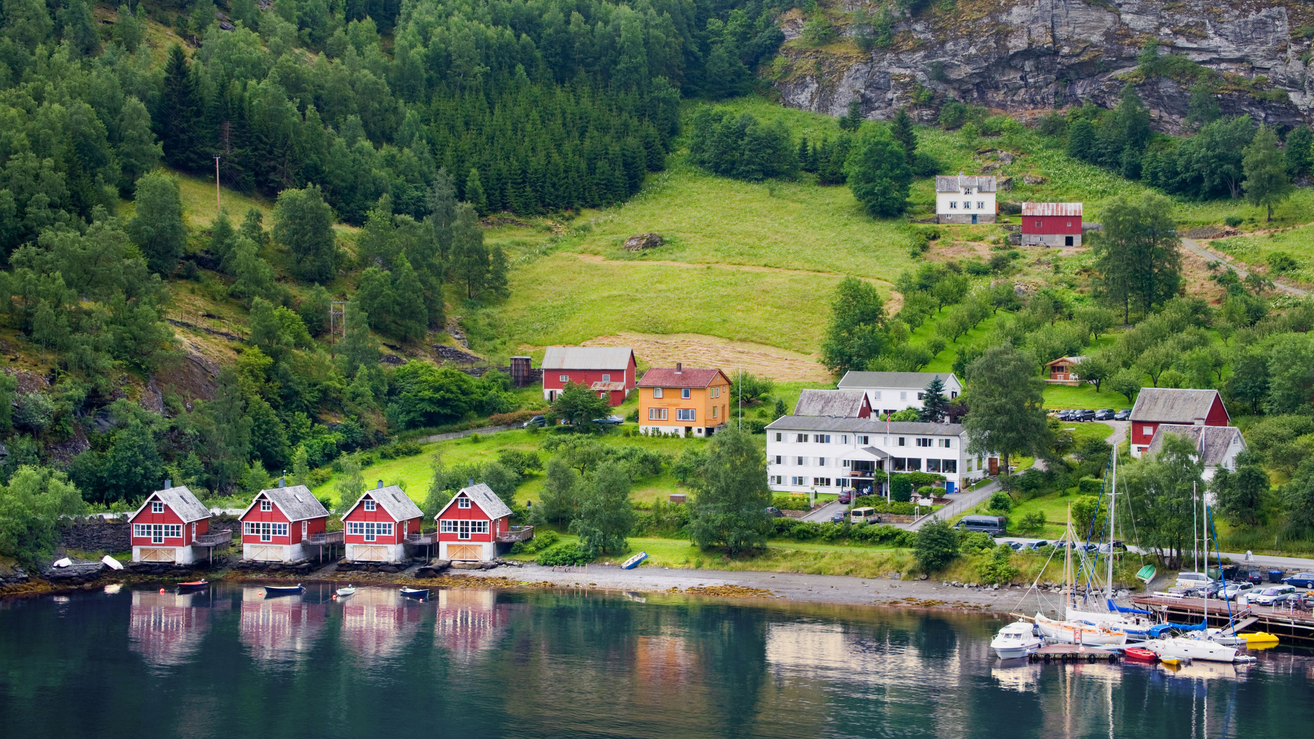Viking Shores & Fjords