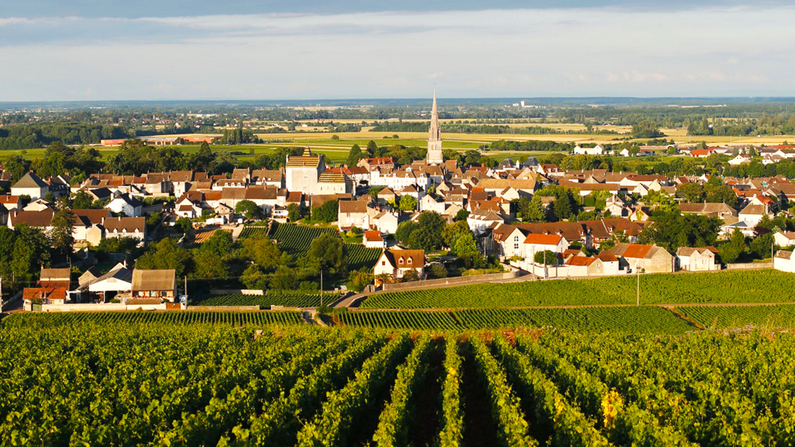 Vineyards Townscape Cloudy Sky Meursault
