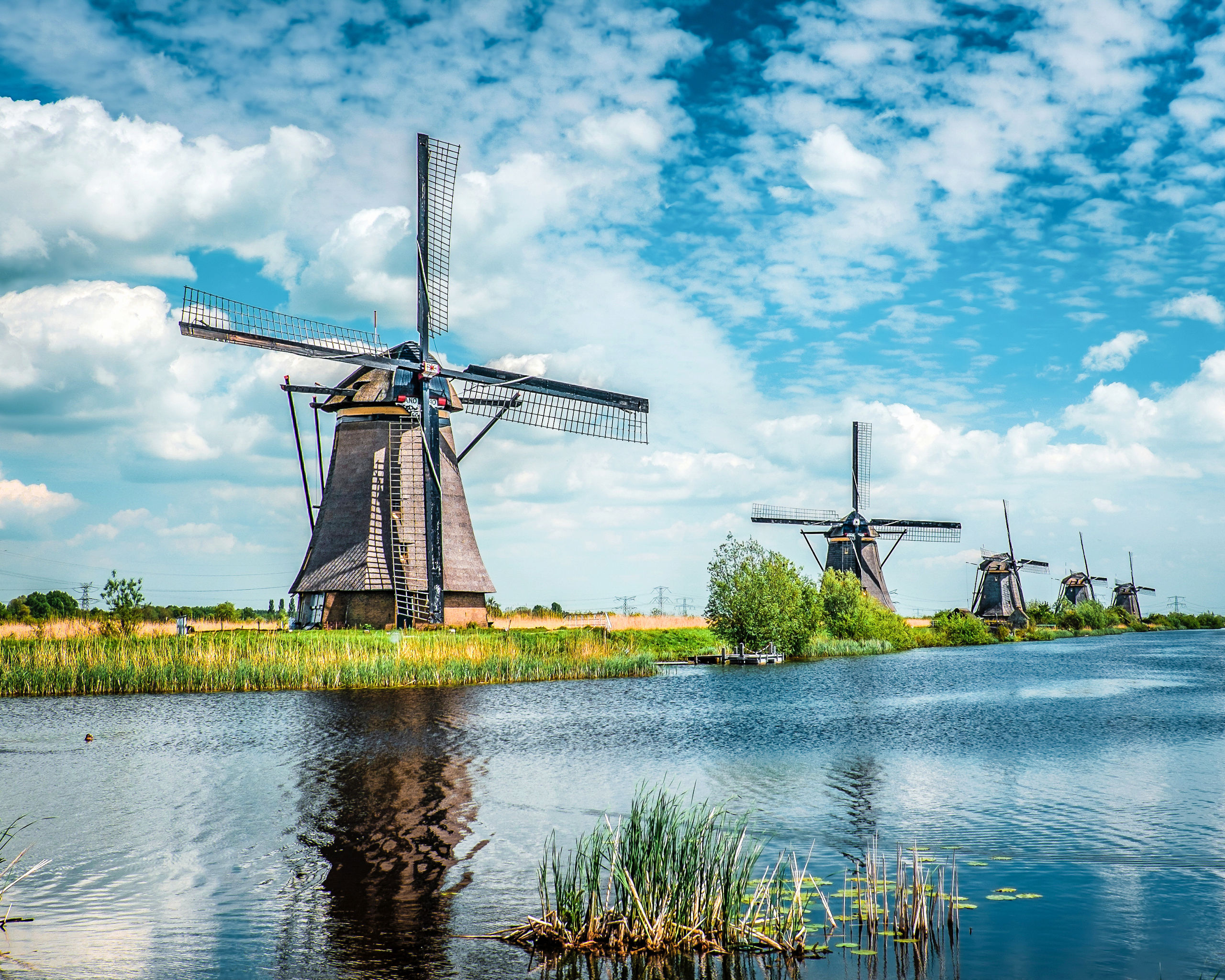 Windmill Row Along Canal Kinderdijk