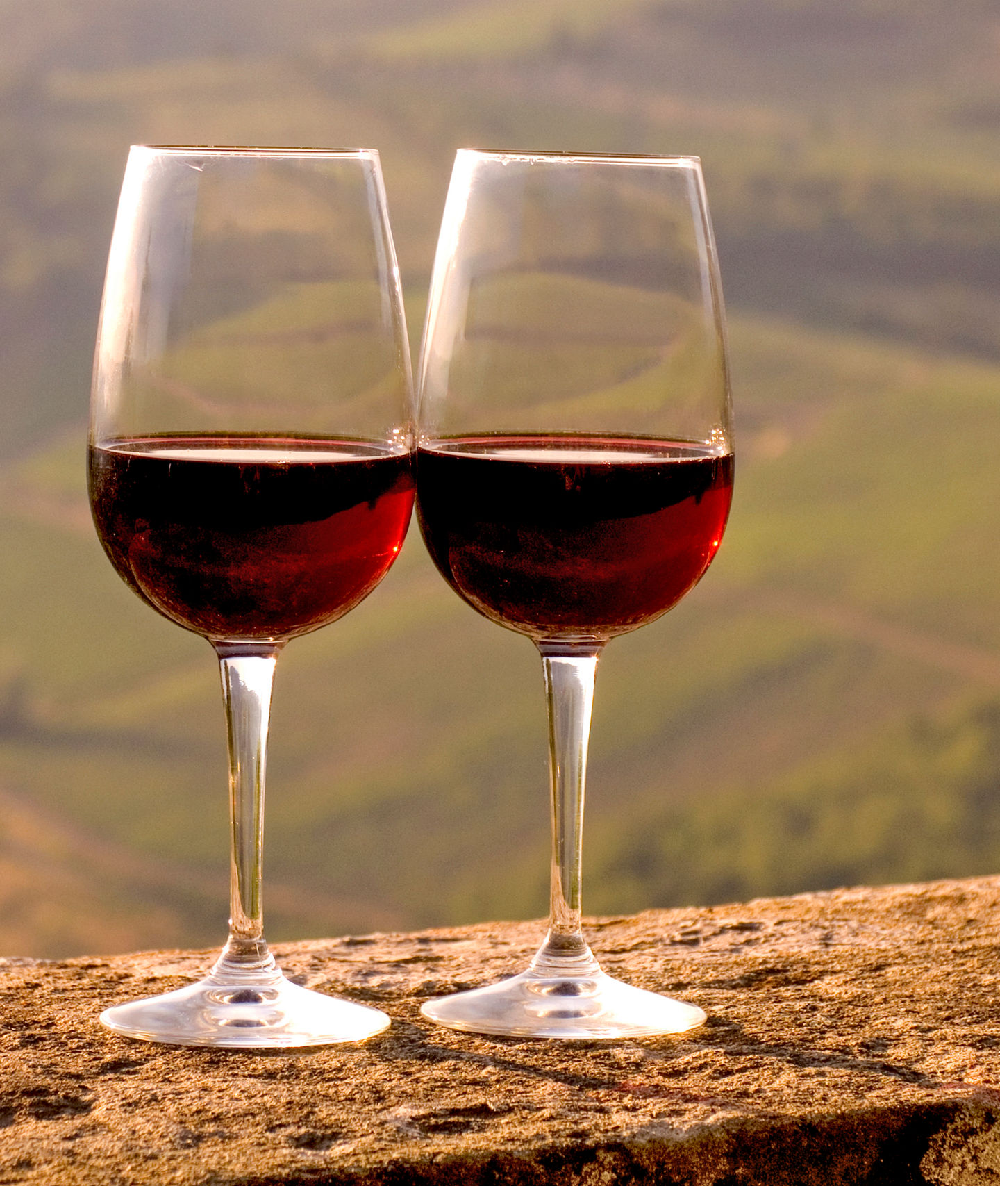 Two wine glasses overlooking vineyard scenery