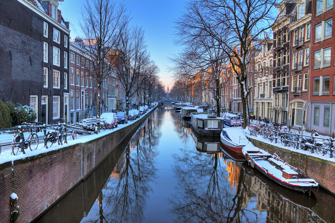 Winter Canal Bare Trees Amsterdam