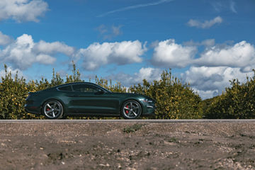 2019 Ford Mustang Bullitt