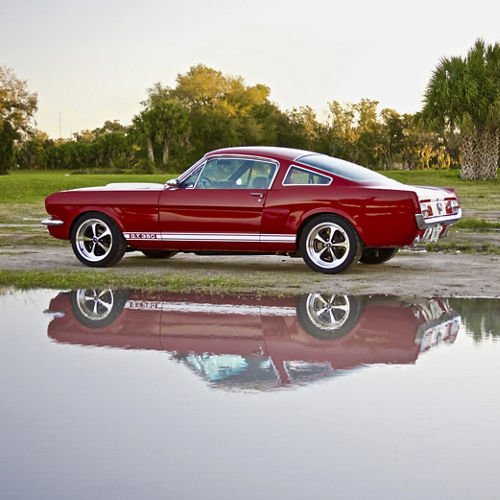 1966 Ford Mustang GT500