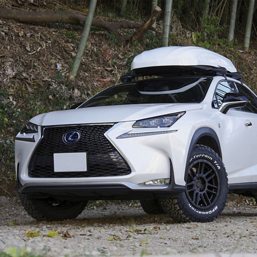 2017 Lexus NX300h