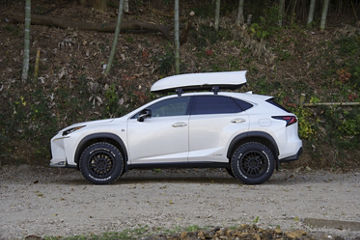 2017 Lexus NX300h