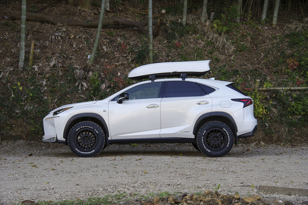 2017 Lexus NX300h