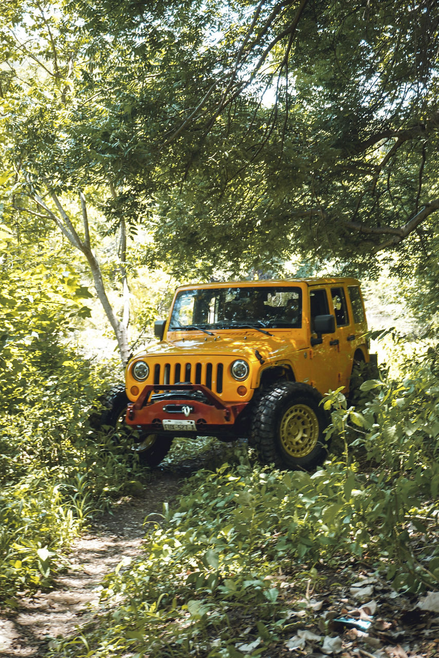 2014 Jeep Wrangler