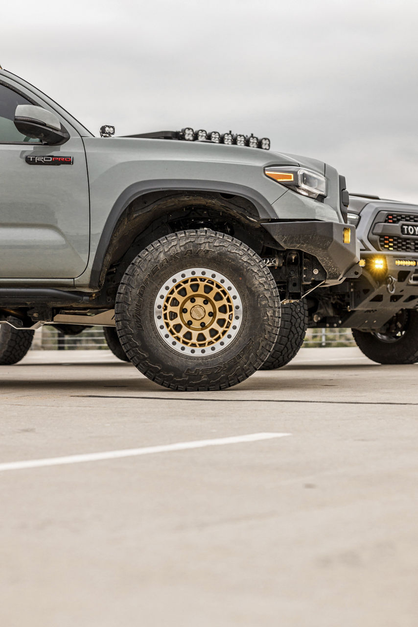 2019 Toyota Tacoma - Black Rhino PRIMM - Gold | Black Rhino